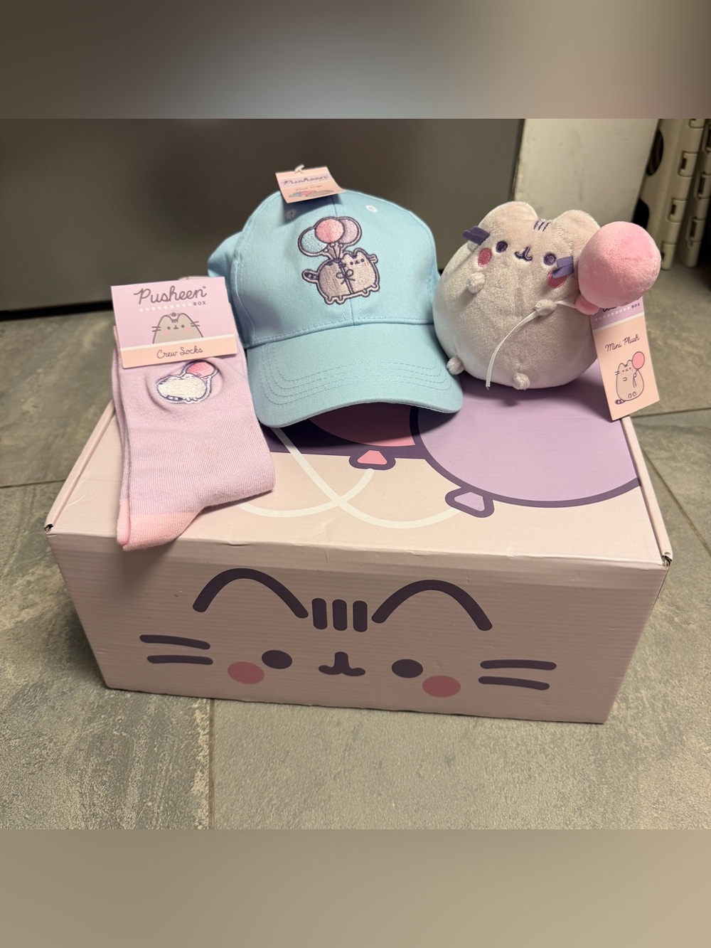 Pusheen 15th Anniversary Spring 2025 Incomplete Box Cat Plush Socks Hat 3 Items
